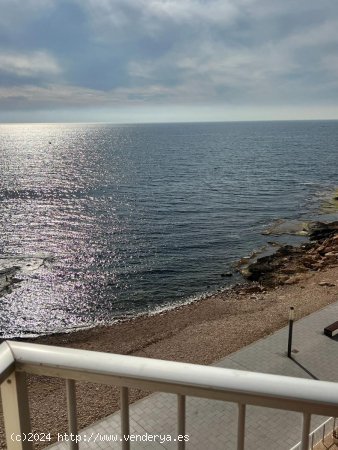 Apartamento en venta en Torrevieja (Alicante)