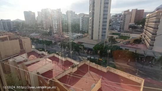  Piso en Pueblo de Benidorm , Playa Poniente (Alicante) - ALICANTE 