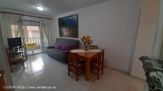 Apartamento en Torrevieja - ALICANTE