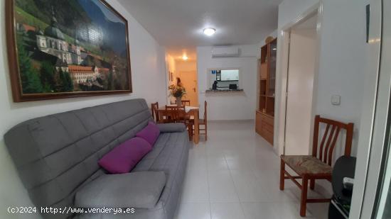 Apartamento en Torrevieja - ALICANTE