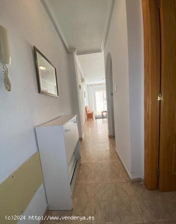 APARTAMENTO CON 2 DORMITORIOS EN TORREVIEJA - ALICANTE