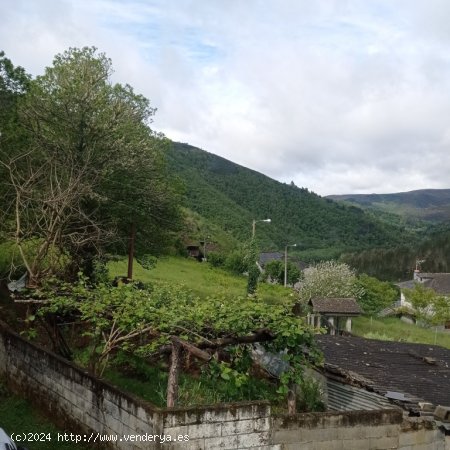 Casa de pueblo en Venta en Navia De Suarna (Casco Urbano) Lugo