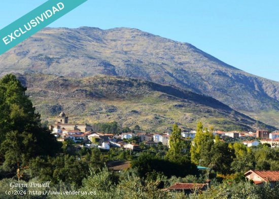 Terreno edificable a 600m del bonito pueblo serragatino de Acebo