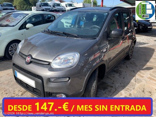  Fiat Panda City Life Hybrid 1.0 Gse 51kw 70CV - Collado Villalba 