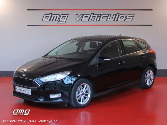 Ford Focus 1.5 TDCi E6 88kW 120CV Trend+ - Rubí