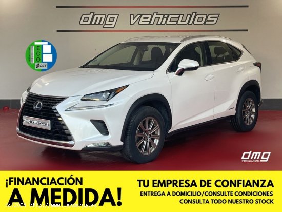  Lexus NX 2.5 300h Business Navigation 2WD 5p. - Rubí 