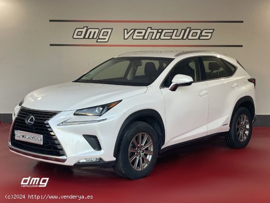 Lexus NX 2.5 300h Business Navigation 2WD 5p. - Rubí