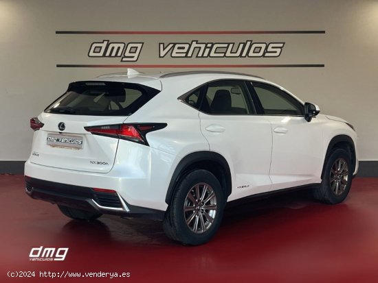 Lexus NX 2.5 300h Business Navigation 2WD 5p. - Rubí