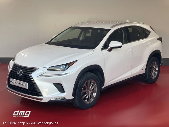 Lexus NX 2.5 300h Business Navigation 2WD 5p. - Rubí