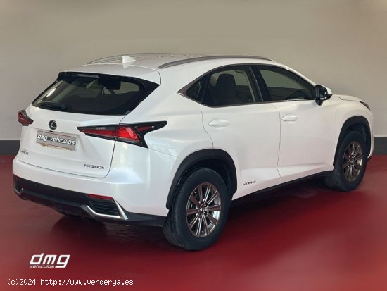 Lexus NX 2.5 300h Business Navigation 2WD 5p. - Rubí