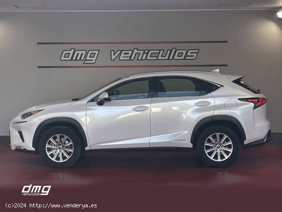 Lexus NX 2.5 300h Business Navigation 2WD 5p. - Rubí