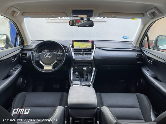 Lexus NX 2.5 300h Business Navigation 2WD 5p. - Rubí