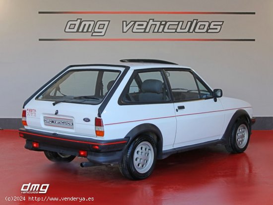 Ford Fiesta 1.6 XR2 3p. 96Cv - Rubí