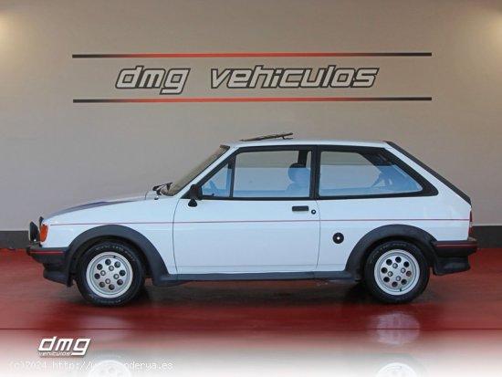 Ford Fiesta 1.6 XR2 3p. 96Cv - Rubí