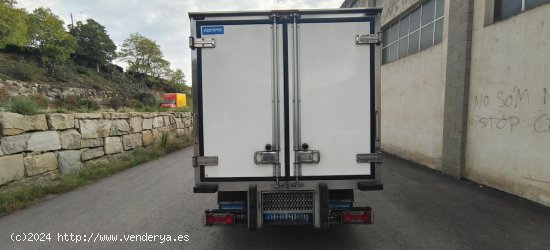 Iveco Daily 35C13 FRIGORIFICA - Arbúcies