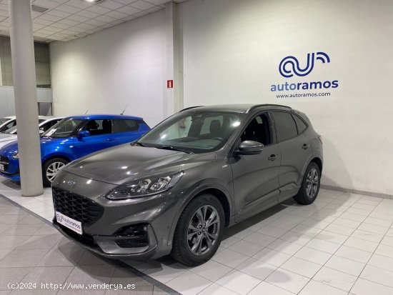 Ford Kuga 1.5 ECOBOOST 110KW ST-LINE X 150 5P - Terrassa