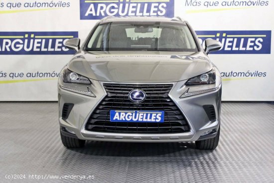 Lexus NX Executive Navigation 4WD 197cv - Madrid