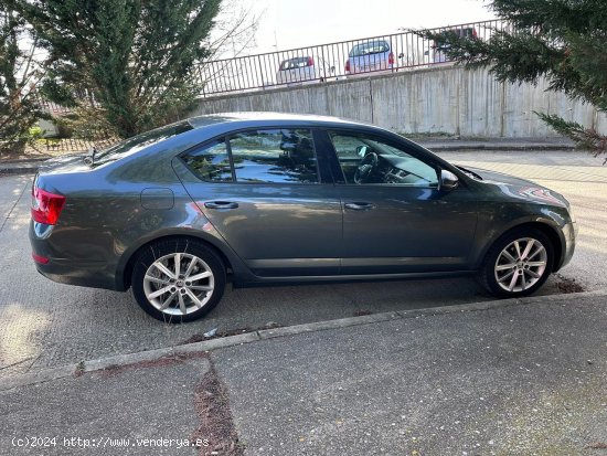 Skoda Octavia 1.6TDI - Burgos