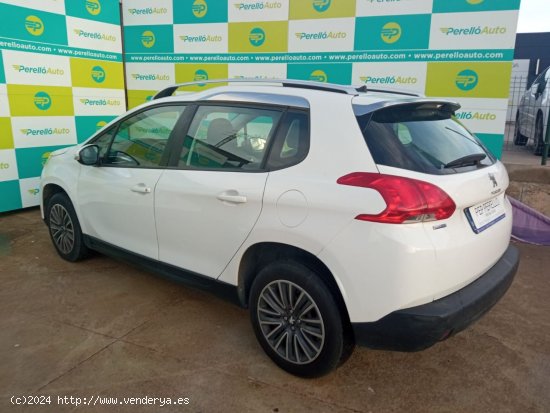 Peugeot 2008 ACTIVE BLUEHDI 100 - Santa Margalida