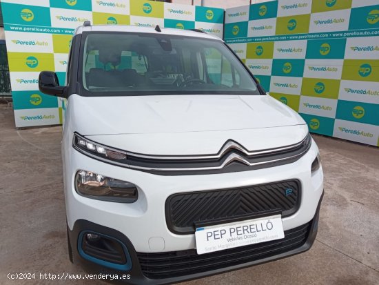 Citroën ë-Berlingo e-BERLINGO SHINE 100 KW TALLA XL - Santa Margalida