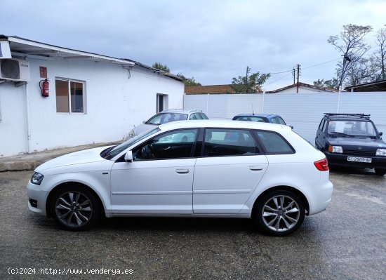 Audi A3 Sportback 2.0 TDI STRONIC - Cornella de Terri