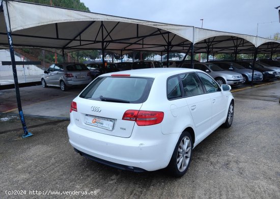 Audi A3 Sportback 2.0 TDI STRONIC - Cornella de Terri