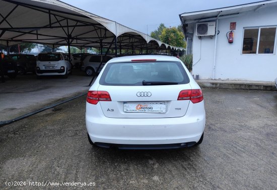 Audi A3 Sportback 2.0 TDI STRONIC - Cornella de Terri