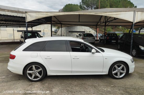 Audi A4 Avant 3.0 TDI QUATTRO - Cornella de Terri