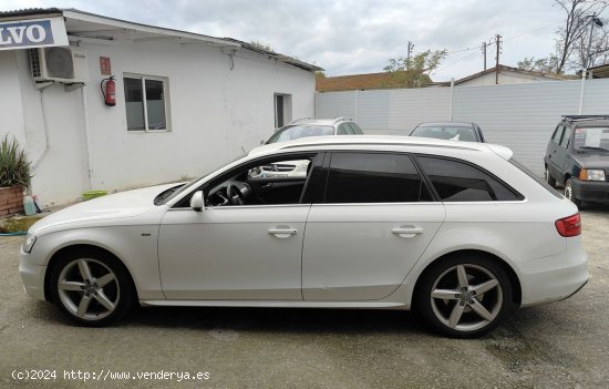 Audi A4 Avant 3.0 TDI QUATTRO - Cornella de Terri