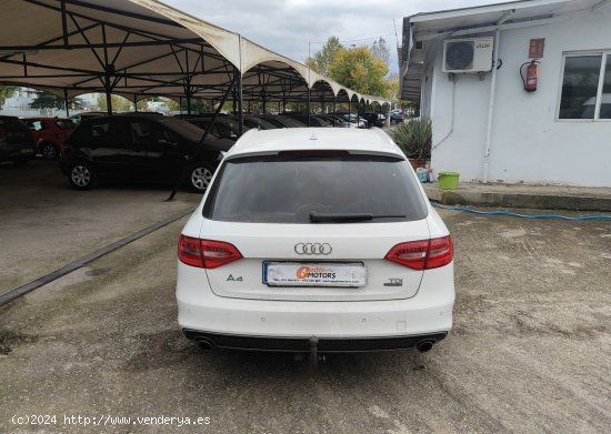 Audi A4 Avant 3.0 TDI QUATTRO - Cornella de Terri