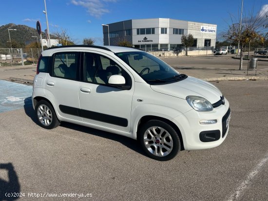  Fiat Panda 1.0 - Alcúdia 