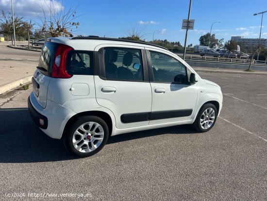 Fiat Panda 1.0 - Alcúdia