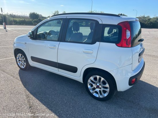 Fiat Panda 1.0 - Alcúdia