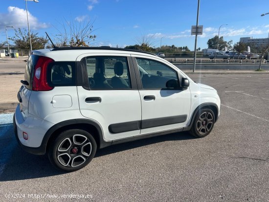 Fiat Panda Hybrid - Alcúdia