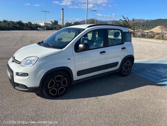 Fiat Panda Hybrid - Alcúdia