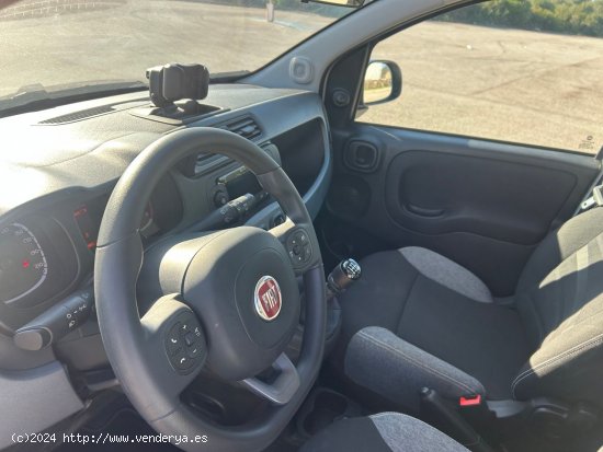 Fiat Panda Hybrid - Alcúdia