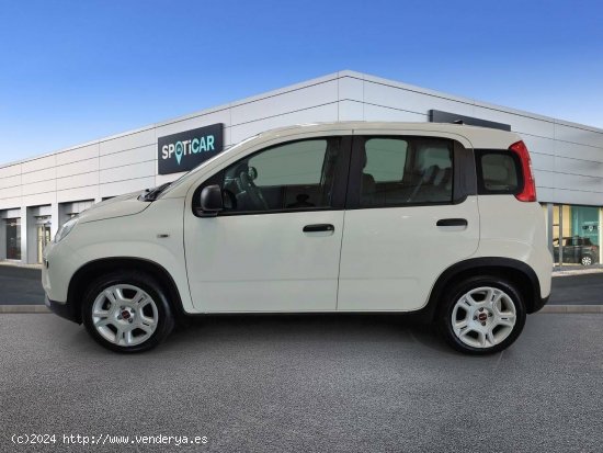 Fiat Panda  Panda Hybrid 1.0 51kw (70CV) - - Badalona