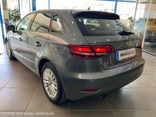 Audi A3 Sportback 1.6 30 TDI 115 CV 5P - Baena