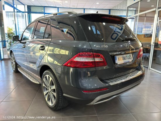 Mercedes Clase M 250 D BLUETEC 204 CV 4-MATIC - Baena