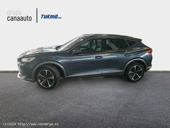 Cupra Formentor 1.5 TSI DSG 110 kW (150 CV) - Taco - La Laguna