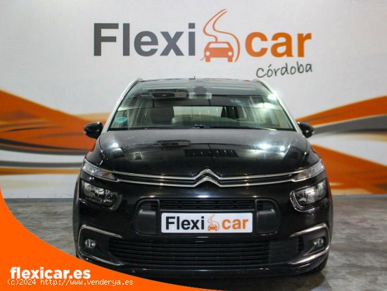 Citroën Grand C4 SpaceTourer PureTech 96KW (130CV) S&S 6v Feel - Córdoba