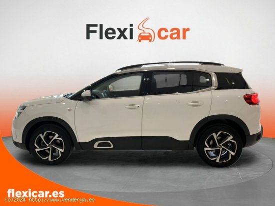 Citroën C5 Aircross BlueHdi 96kW (130CV) S&S C Series - Sevilla