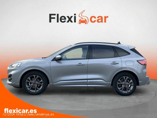 Ford Kuga ST-Line 1.5 EcoBlue 88kW (120CV) - León