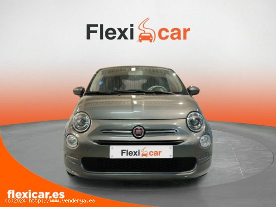 Fiat 500 Cult 1.0 Hybrid 51KW (70 CV) - Biscay