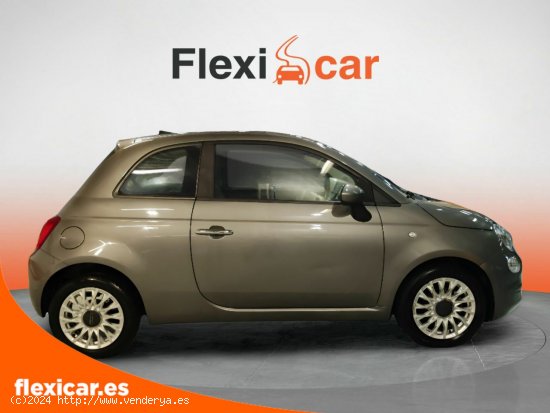 Fiat 500 Cult 1.0 Hybrid 51KW (70 CV) - Biscay