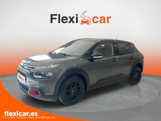 Citroën C4 Cactus PureTech 110 S&S Feel - Sevilla