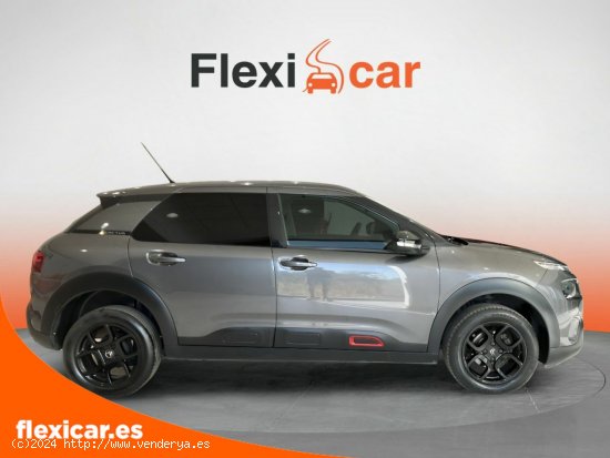 Citroën C4 Cactus PureTech 110 S&S Feel - Sevilla