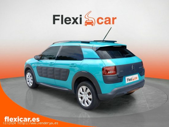 Citroën C4 Cactus BlueHDi 100 Feel - Galdakao