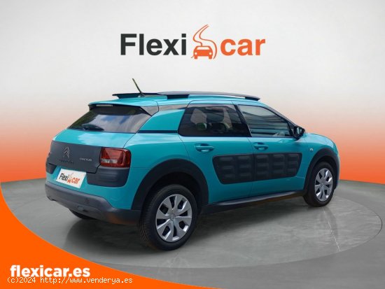 Citroën C4 Cactus BlueHDi 100 Feel - Galdakao