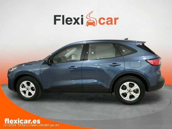 Ford Kuga Trend 1.5 EcoBlue 88kW (120CV) - Albacete